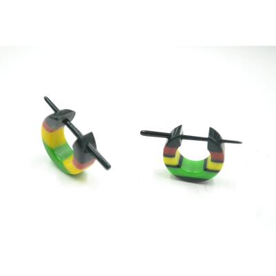 China Newest FASHIONABLE Ear Plugs Expander Plug Stretcher Rasta Earring Circle Earring for sale