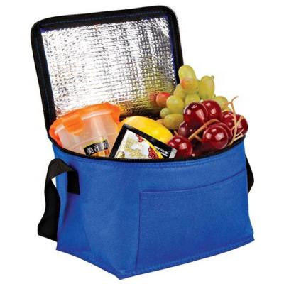 China Manufacturer Promotion Cheap Insulated Custom 6 Can 8 Can Mini Insulated Lunch Cooler Bag for sale