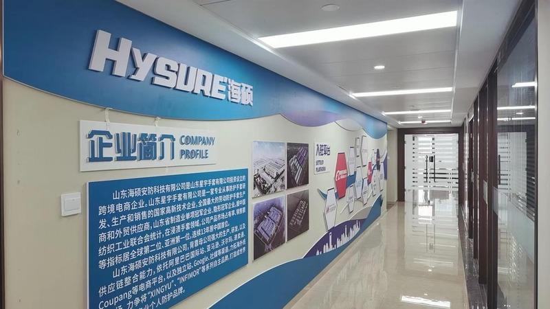 Verified China supplier - Shandong Hysure Safety Tech Co., Ltd.