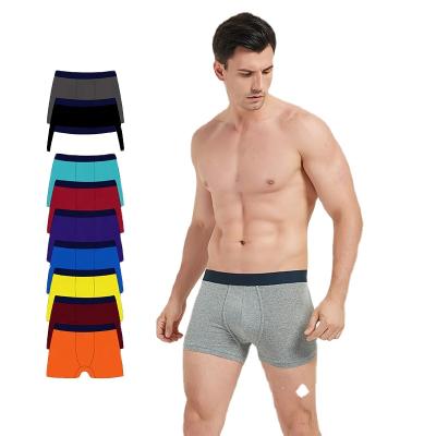 China Cotton Breathable Stretch Boxer Short Underwear For Adult Men for sale