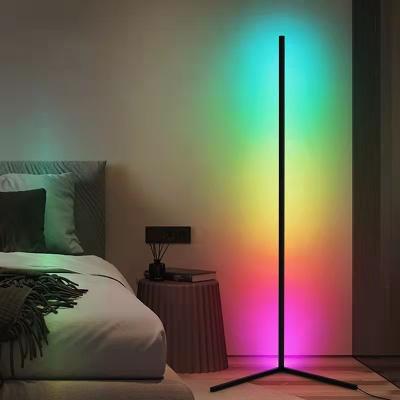 China EUROPEAN Floor Lamp For Bedroom Hotel Smart Home Light Neon Cable Strip LED Floor Light for sale