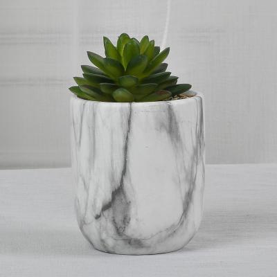 China JIA SHUN Small Modern Style Marbling Ceramic Succulent Flower Pot for sale