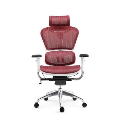 China (Size) Modern Executive Adjustable Mesh Office Chair Ergonomic White Frame Armrest Adjustable Office Ergonomic Chairs for sale