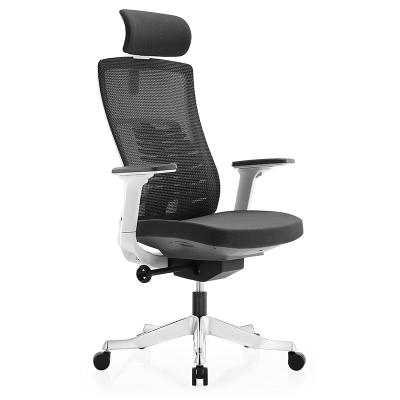 China Adjustable (Height) Can Be Customized Modern Luxury Factory Direct Sales Mesh Office Chair Executive Ergonomic Office Chair for sale