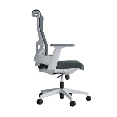 China Factory Selling High Quality Executive Ergonomic Adjustable Office Chair Ergonomic (Height) Mesh for sale