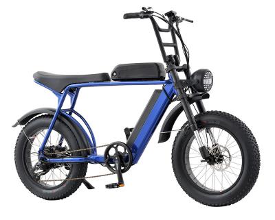 China Aluminum Alloy Joyhand 20 Inch Dual Battery 48V Electric Scooter E-Bike Electric Bike Electric Bike Factory for sale