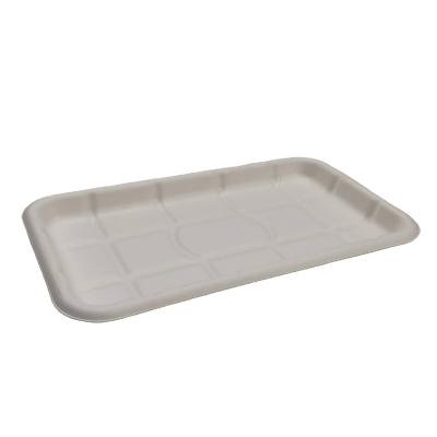 China Safe Friendly Disposable Tableware Container Eco Friendly Bagasse Sugarcane Small Freezer Meat Tray for sale