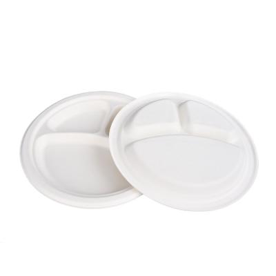 China Eco-Friendly Disposable Tableware 10 Inch Safe Disposable Pulp Freezer Sugarcane Round Bagasse Dish for sale