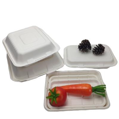 China Disposable Sugarcane Plup Bagasse Fruit Palte Compostable Meat Tray Freezer Safe Eco-Friendly for sale