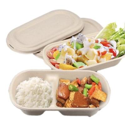 China Disposable sugarcane bagasse take out food container 2 compartment oval bgasse bowl with lid for sale