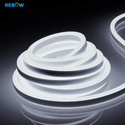 China LANDSCAPE Waterproof Decorative Flexible Silicone Rope Lamps RGB Led Strip Flex Light Custom Neon Light for sale