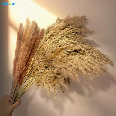 China Eco-friendly Wholesale Backdrop Decorative Silk Plastic Dried Artificial Flowers Pampas Grass Flower Wall for sale