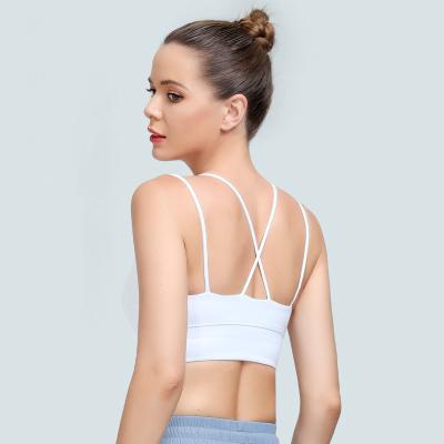 China QUICK DRY women's sport yoga nude bra 2 hot sexy XL plus size tops sexy sports bra backless yoga bra for sale