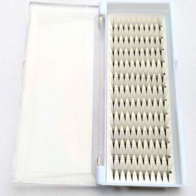 China Colorful Pancy Lashes Good Quality Eyelash Extension Group Volume Fans Russian Factory for sale