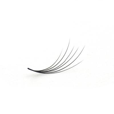 China Pancy Volume Lashes Colored Premade 2D3D 4D 5D 6D Eyelash Extensions Natural Looking for sale