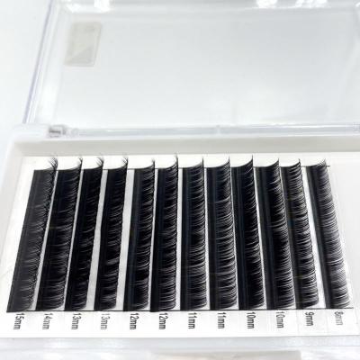 China 2021 Top Hot Sale Silk Lashes Extensions Different Colored Lashes Eyelash Extensions for sale