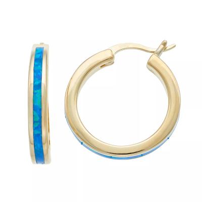 China TRENDY Fashion High Quality Thick 14K Gold Over Polished Silver Lab-Created Blue Opal Cut & Satin Circle Huggie Earrings For Women for sale