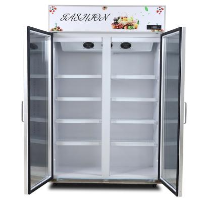 China New Single-Temperature Design Glass Beverage Display Freezer 2 Door Display Fridge for sale