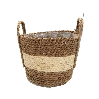 China Sustainable Hand & Woven Vegetable Plankton Storage Basket With Handle, Natural Decorative Storage Box&Bins, Miscellaneous Storage Basket Other Storage Baskets for sale