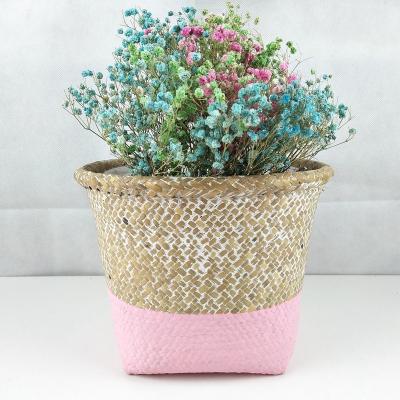 China Plant Plankton Plant Basket Woven Plant Pot Cover Folding Warm Woven Basket Woven Basket for Storage and Laundry for sale