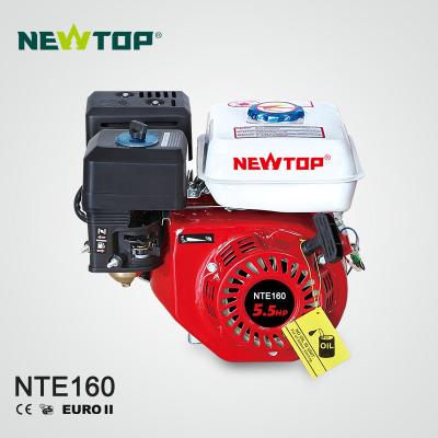 China NTE160 NTE200 2 stroke air cooled gasoline engine for water pump generator for sale