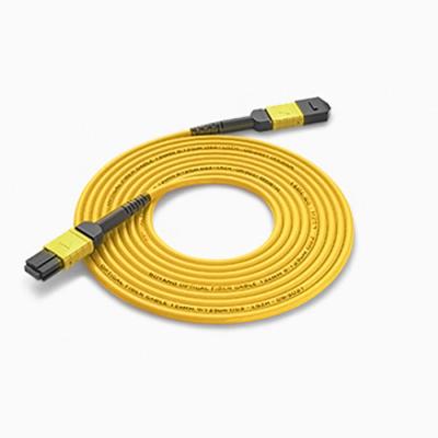 China FTTH Single Mode MPO Patch Cord 3.0mm MPO Fiber Optic Cable Price for sale