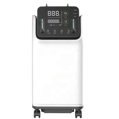 China Hospital Large LED Touch Screen 96% Oxygen Purity 10l Super Portable Oxygen Concentrator Income for sale