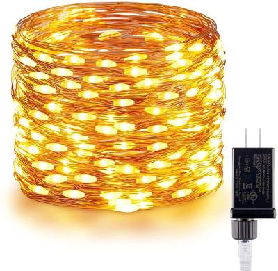 China Home Decoration LED String Lights Decorative String Lights 30m 300 LED EU US AU Plug DC Power Adapter Copper Wire String Starry Fairy Light with Switch for sale