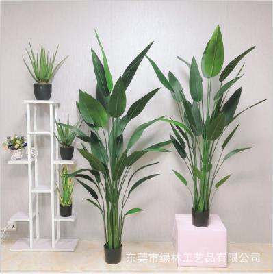 China Indoor Plant Bonsai Tree Natural Touch Artificial Bird Of Paradise Tree, Artificial Indoor Decoration Tree for sale