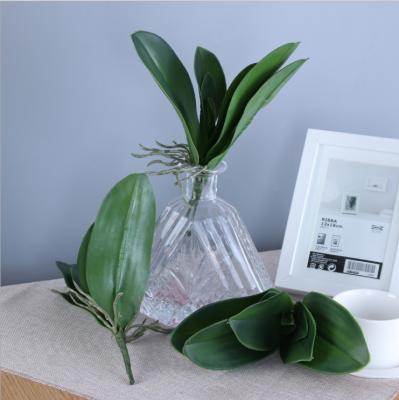 China Real touch natural flower arrangement touch orchid leaves artificial plant latex orchid flower phalaenopsis leaves for sale