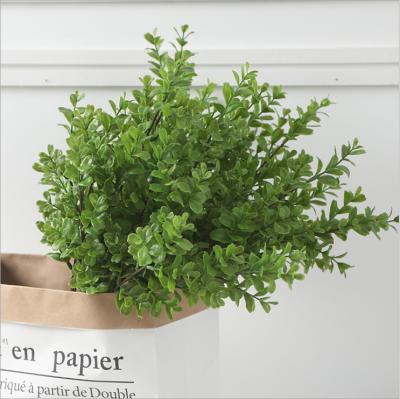 China Natural Touch China Factories Wholesale Artificial Boxwood Leaves Real Touch Green Leaves For Hotel Home Decoration for sale