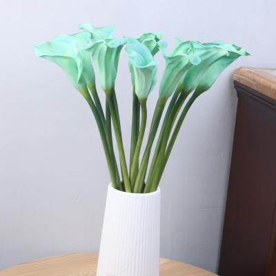 China Lily Large Size 70CM bag calla lilies seedcalla lily artificial flowers natural factory wholesale decorative touch real for sale