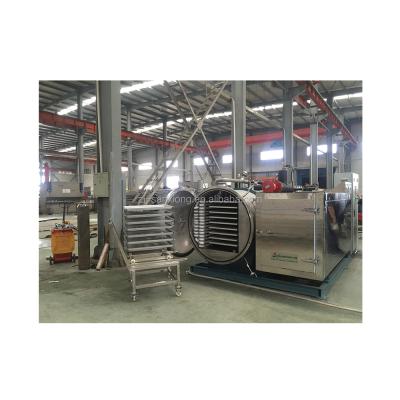 China Sanshon Food Processing Vacuum Freeze Dryer For Vegetables And Fruits for sale