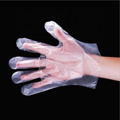 China Durable PE Plastic Polyethylene Disposable Gloves HDPE PE Disposable Food Handling Gloves for sale