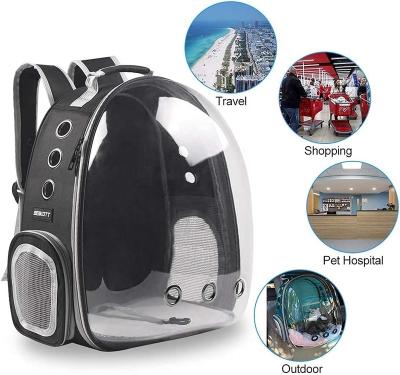 China Small Animals Cat Carrier Bag Outdoor Pet Shoulder Bag Carriers Backpack Breathable Portable Travel Transparent Bag For Small Dogs Cats for sale