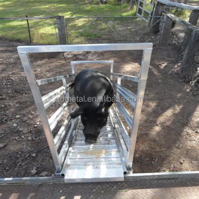 China Easily Assembled Cow Loader Horse Loader Livestock Feeder for sale