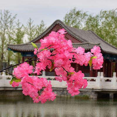 China Beautiful Colorful Factory direct sale supplier wedding decor ceiling decor artificial cherry blossom flower rattan for sale