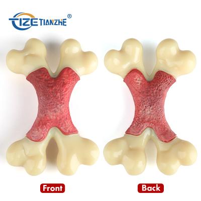 China Factory Stocked Wholesale Rubber Pet Bite Toothbrush Toys Interactive Nylon Dog Molar Toy for sale