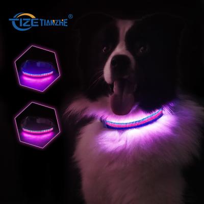 China Lights Best Quality Glow Collar Led Waterproof Light Dog Collar for sale