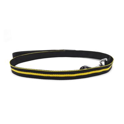 China Sustainable Wholesale High Visibility Pet Accessories Led Flashing Glowing In Dark Dog Collars And Leashes for sale