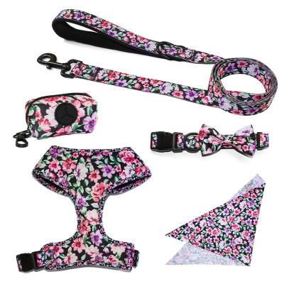 China Viable OEM/ODM Customized Pet Accessories Print Reflective Quick Release Polyester Pattern Reversible Padded Dog Harness Set for sale