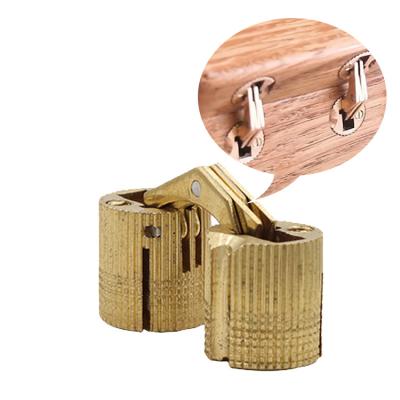 China 14mm Zero 180 Degree Opening Angle Concealed Brass Barrel Hinges Cylindrical Invisible Concealed Furniture Hinges for sale