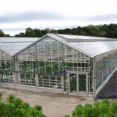 China Temperature Control Agriculture Greenhouse Power Aquaponics Hydroponics System Greenhouses For Lettuce for sale