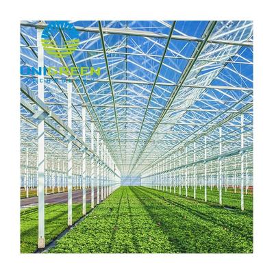 China Vegetable Fruits Flowers Planting Customized Size Sustainable Agriculture Used Mini Greenhouse Garden Greenhouses For Strawberry Tomatoes In-Solar Planting for sale