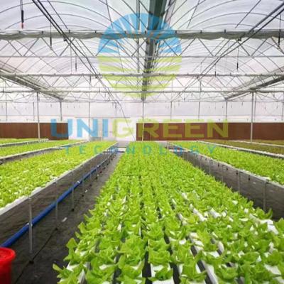 China Hot Sale Vegetable Fruits Flowers 2022 Hot PVC Channels Hydroponic Growing System For Greenhouse Cultivation for sale