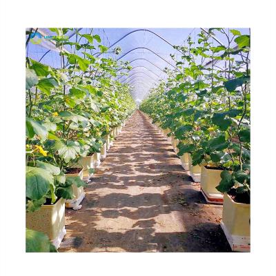 China Fruit Vegetable Flowers Wholesale 11/15L High Quality Dutch Bucket For Vegetable Grow Farm Bucket Hydroponics Dutch Drip for sale