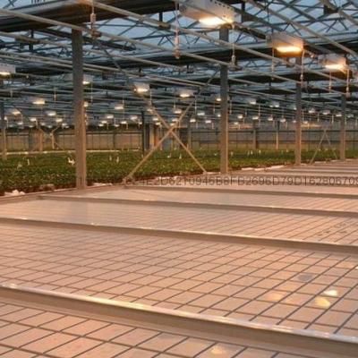 China Economical and Mobile Hydroponic Ebb and Flow Growing Tables and Flood Drain Growing Tray for sale