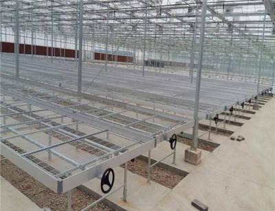 China Economical and Movable Galvanized Pipe and Welded Wire Mesh Steel Greenhouse Rolling Benches for sale