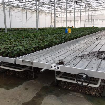 China Economical And Movable Brand New Products Galvanized Steel Seedling Bed Checker Ebb And Flow Tables for sale