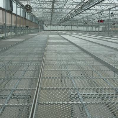 China Economical And Movable Agricultural Hydroponic Hot Galvanized Wire Mesh Greenhouse Rolling Bench for sale